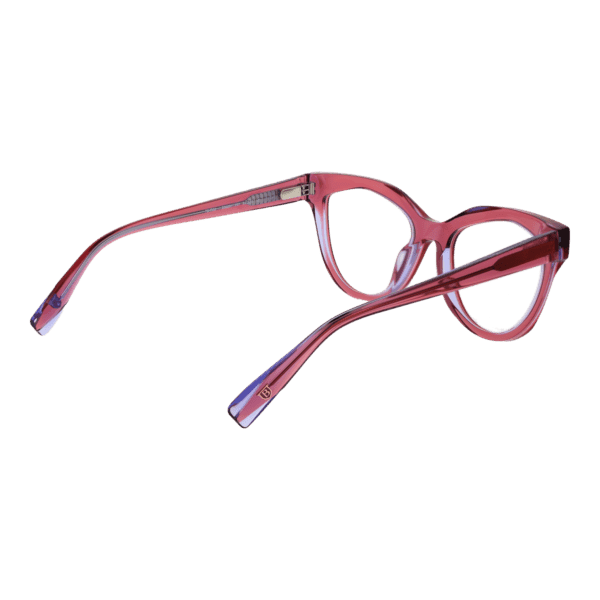 Détails branches – lunette Bulget BG6501 51H01 en Acétate