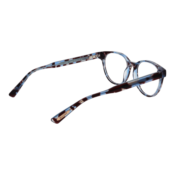 Détails branches – lunette Bulget BG6503 50G21 en Acétate