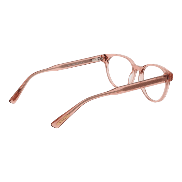 Détails branches – lunette Bulget BG6503 50T01 en Acétate