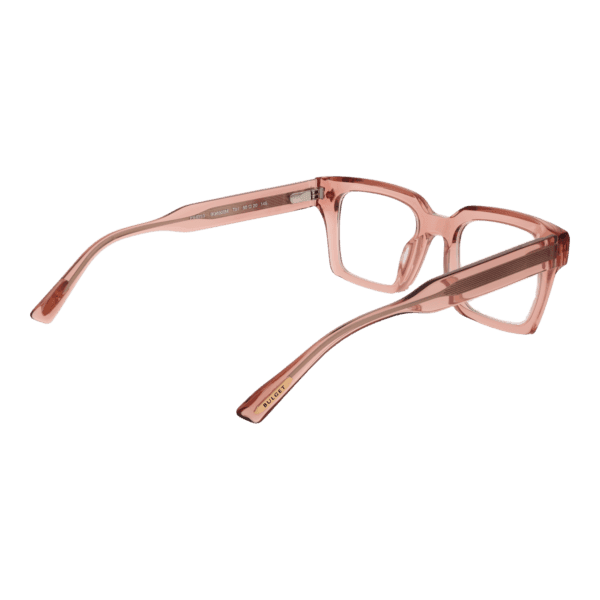 Détails branches – lunette Bulget BG6509M 50T01 en Acétate