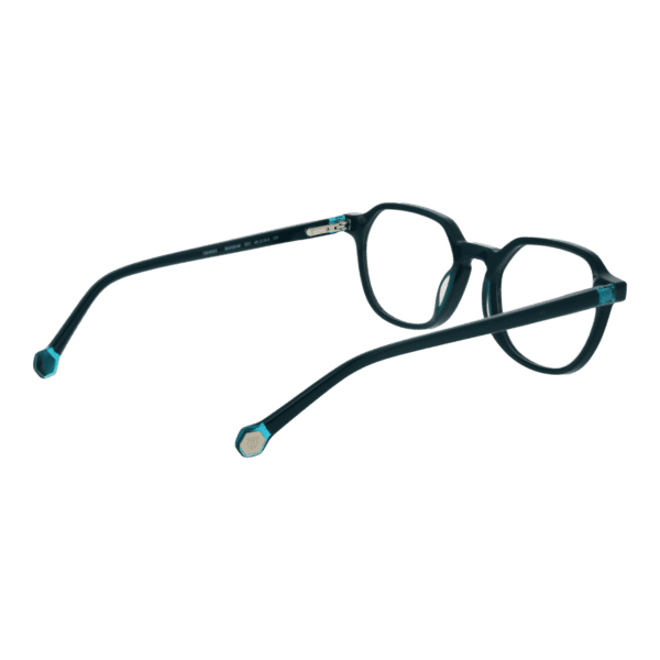 Détails branches – lunette Bulget BGK6046 46D01 en Acétate