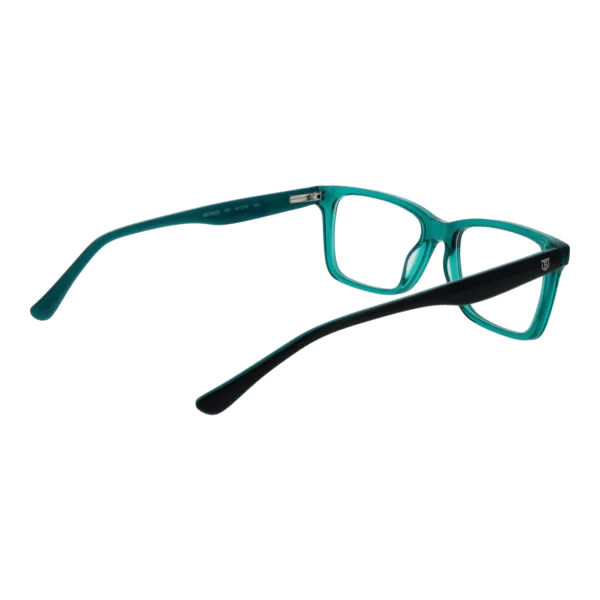 Détails branches – lunette Bulget BGT6205 51T01 en Acétate