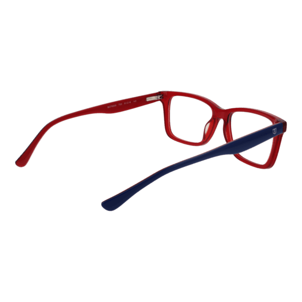 Détails branches – lunette Bulget BGT6205 51T03 en Acétate