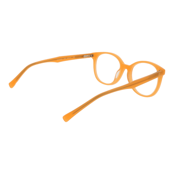 Détails branches – lunette Bulget BGT6252 49T03 en Acétate