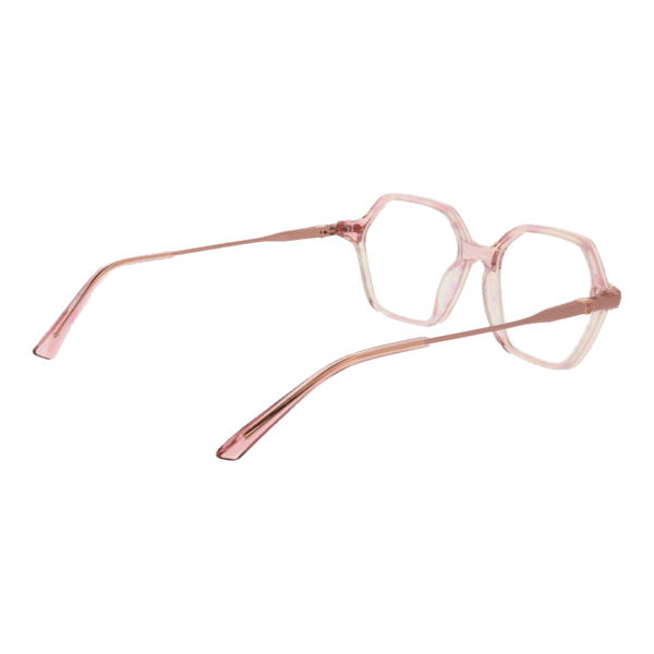 Détails branches – lunette Bulget BGY6001 50E01 en Acétate