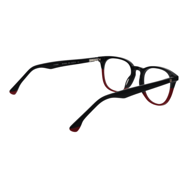 Détails branches – lunette Bulget BGY6002 50P01 en Acétate