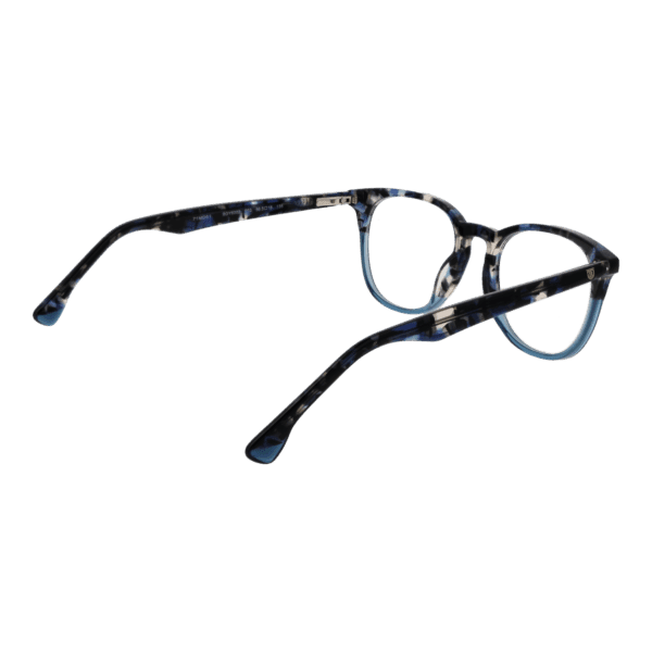 Détails branches – lunette Bulget BGY6002 50P03 en Acétate