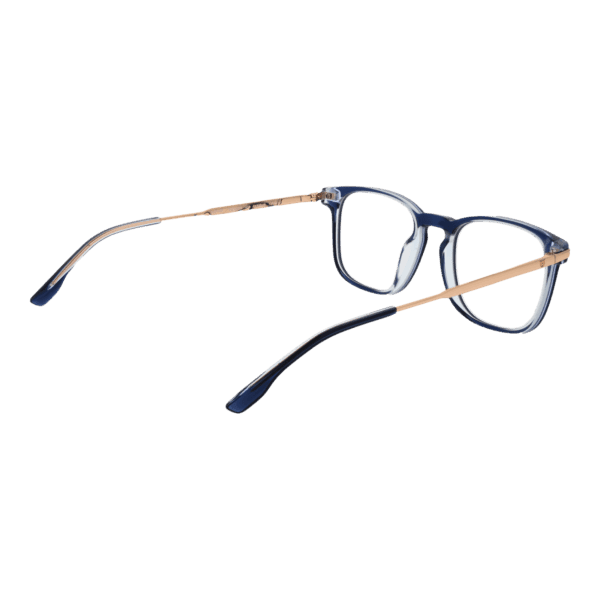 Détails branches – lunette Bulget BGY6008 49H03 en Acétate