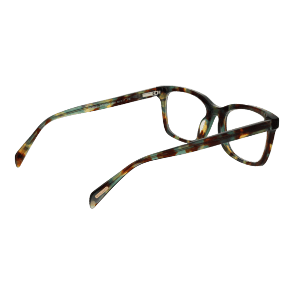 Détails branches – lunette Bulget BGY6012 50G21 en Acétate