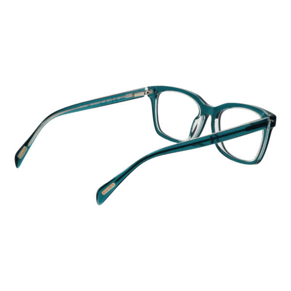 Détails branches – lunette Bulget BGY6012 50H02 en Acétate
