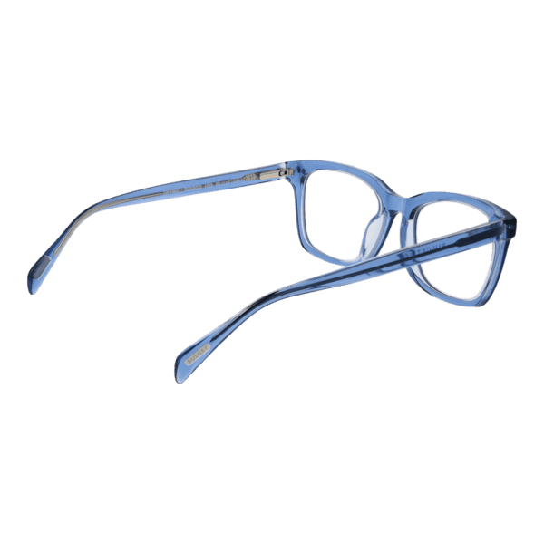 Détails branches – lunette Bulget BGY6012 50H03 en Acétate