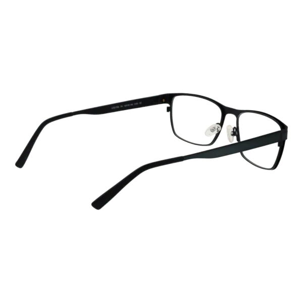 Détails branches – lunette Citizen CTZ1704 53151 en Acier inoxydable