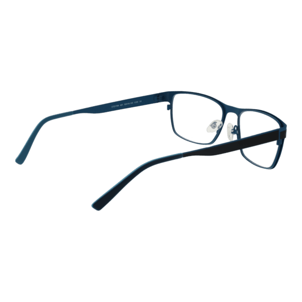Détails branches – lunette Citizen CTZ1704 53401 en Acier inoxydable