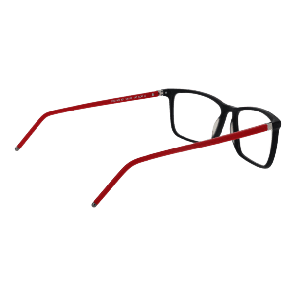 Détails branches – lunette Citizen CTZ1902 54401 en Acier inoxydable
