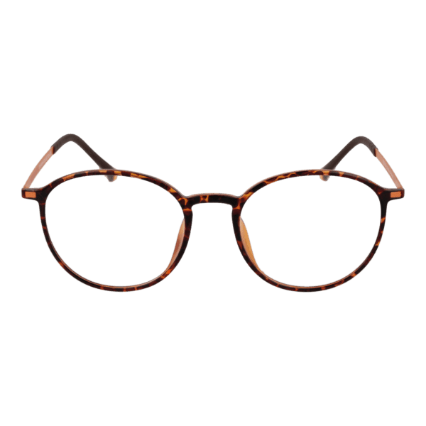 Face avant – monture optique Funky Buddha FBD1003 50002 en Brown