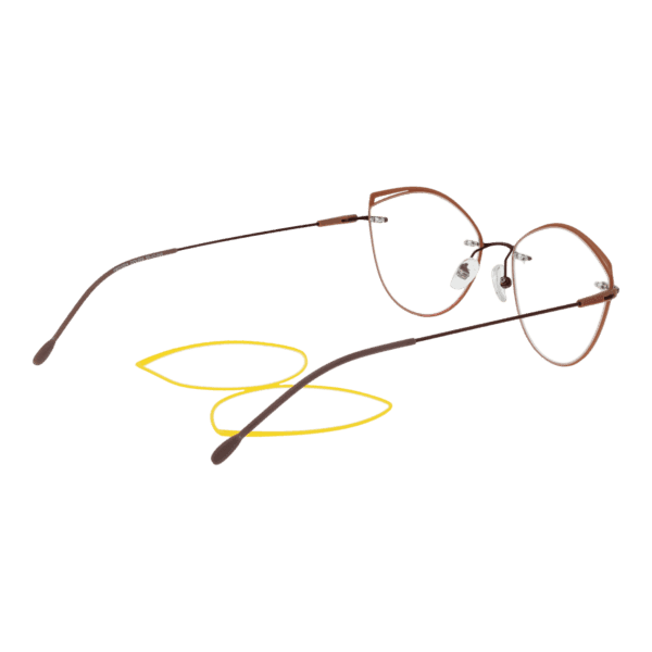 Détails branches – lunette Funky Buddha FBD1004 55003 en Métal et plastique