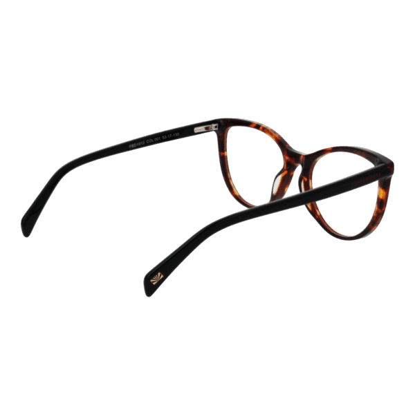 Détails branches – lunette Funky Buddha FBD1012 53001 en Métal