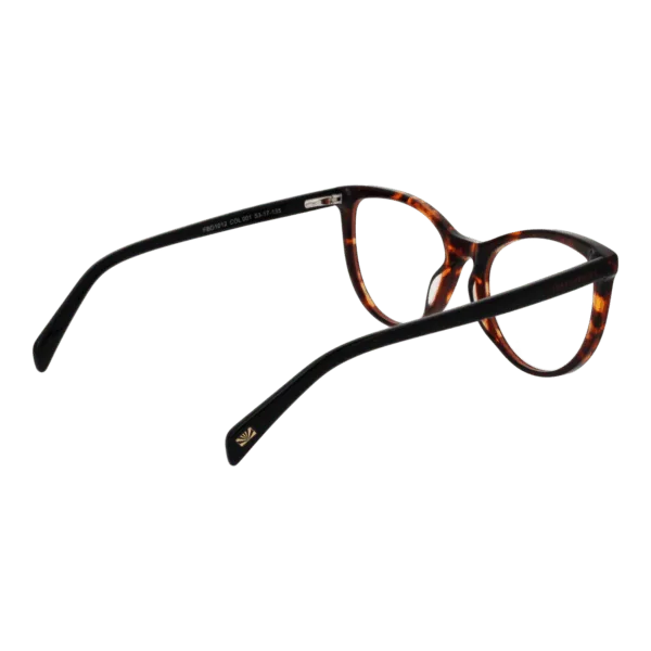 Détails branches – lunette Funky Buddha FBD1012 53001 en Métal