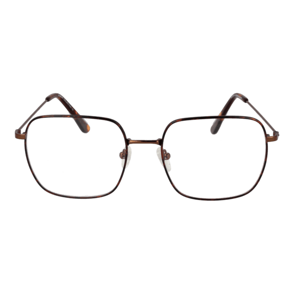 Détails branches – lunette Funky Buddha FBD1014 54002 en Métal