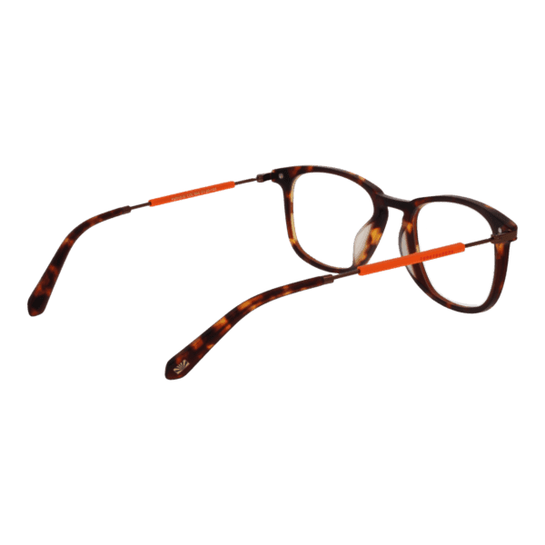 Détails branches – lunette Funky Buddha FBD1016 51004 en Plastique
