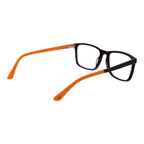 Détails branches – lunette Funky Buddha FBD1026 55002 en Plastique