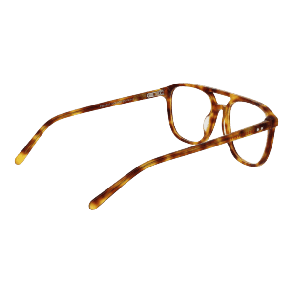 Détails branches – lunette Funky Buddha FBD1027 53002 en Plastique