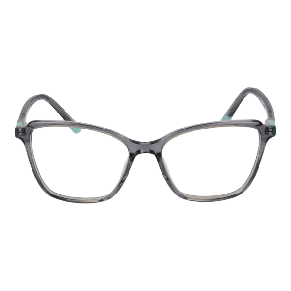 Face avant – monture optique Funky Buddha FBD1066 48006 en Gris