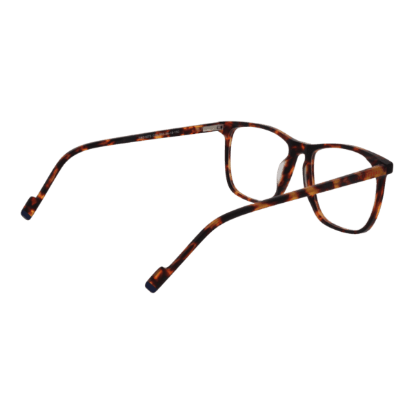 Détails branches – lunette Funky Buddha FBD1073 56003 en Plastique