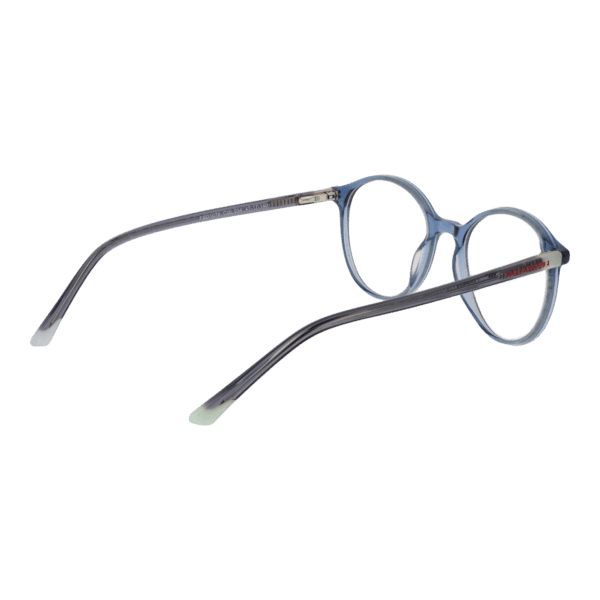 Détails branches – lunette Funky Buddha FBD1076 47004 en Plastique