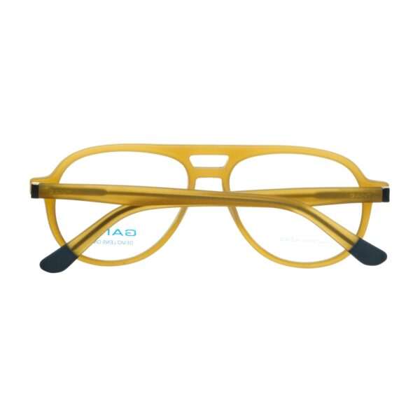 Détails branches – lunette Gant GA3042 54L69 en Acétate