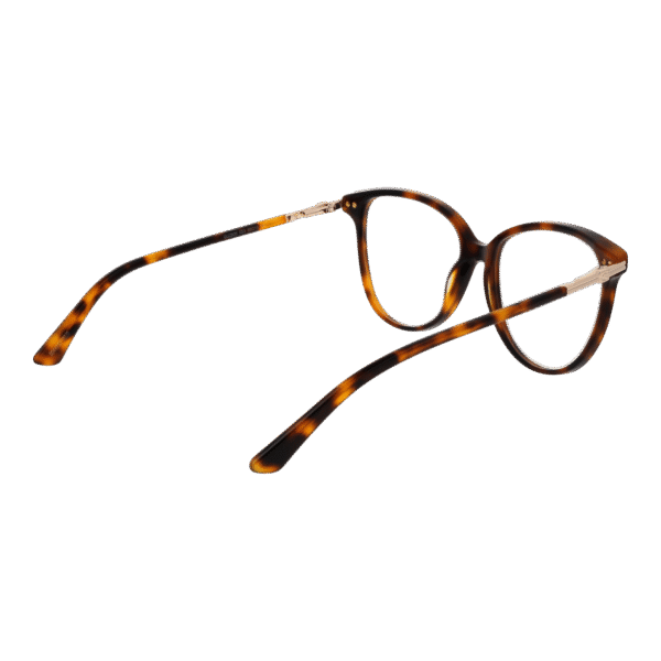 Détails branches – lunette Guess GU2905 55053 en Acétate