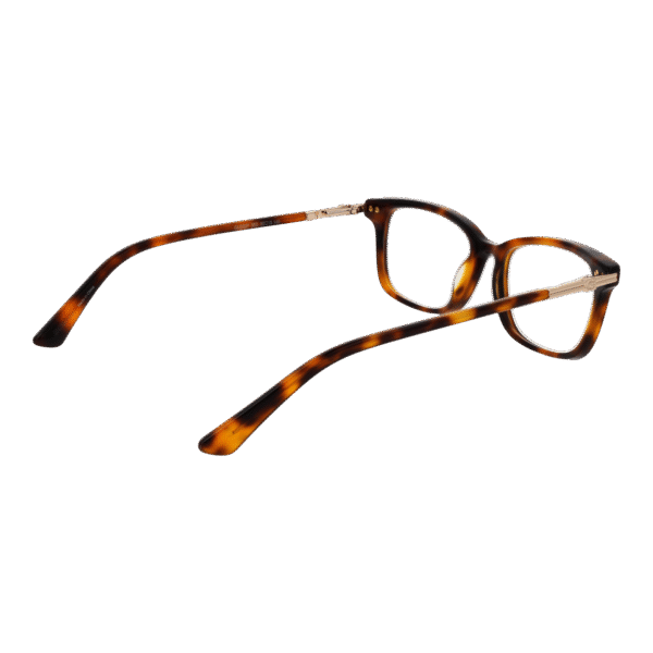 Détails branches – lunette Guess GU2907 50053 en Acétate