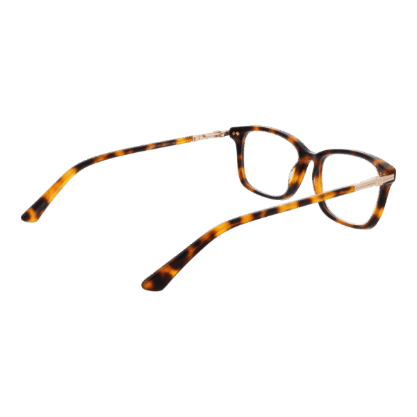 Détails branches – lunette Guess GU2907 53053 en Acétate