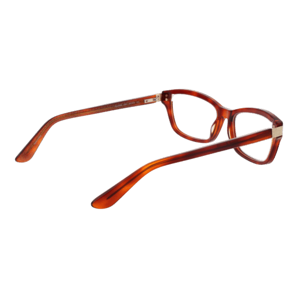Détails branches – lunette Guess GU2956 54053 en Plastique