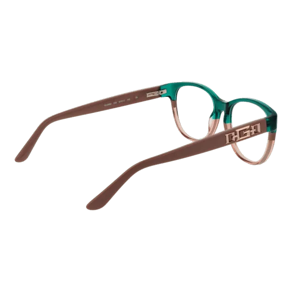 Détails branches – lunette Guess GU2980 53059 en Acétate