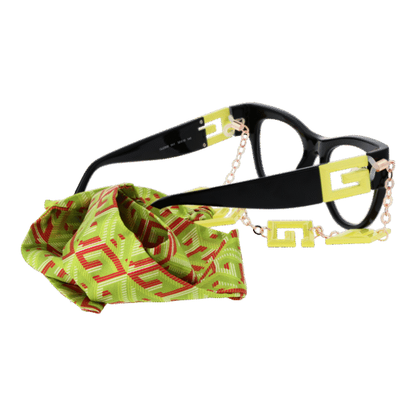 Détails branches – lunette Guess GU2988 50041 en Plastique
