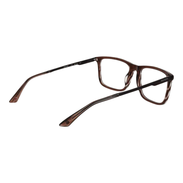 Détails branches – lunette Hackett HEK130 56116 en