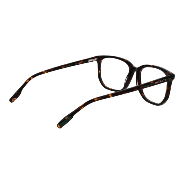 Détails branches – lunette Hackett HEK1331 54183 en