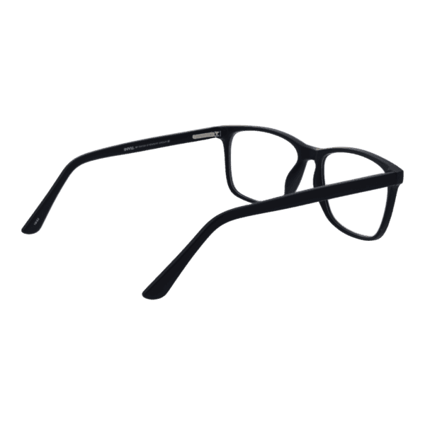 Détails branches – lunette Invu B4219 59C en