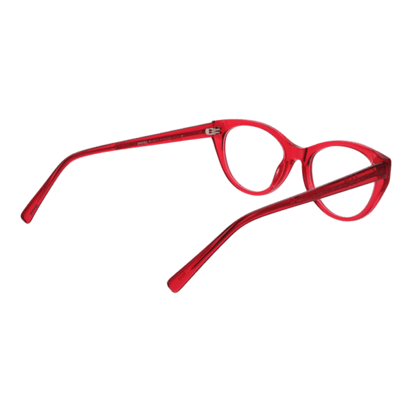 Détails branches – lunette Invu B4231 51C en
