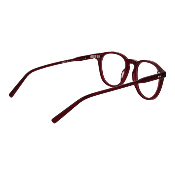 Détails branches – lunette Invu B4314 50C en