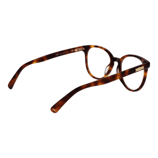 Détails branches – lunette Longchamp LO2679 51226 en