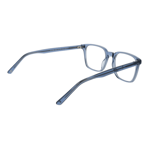 Détails branches – lunette OK OK1902 53500 en