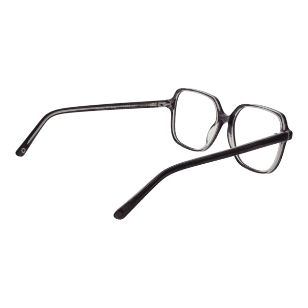 Détails branches – lunette OK OK1903 53114 en