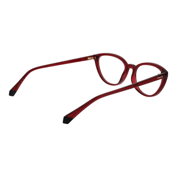Détails branches – lunette Polaroid PLD D432 53C9A en