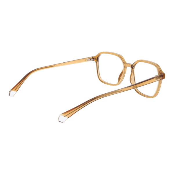 Détails branches – lunette Polaroid PLD D469 5310A en