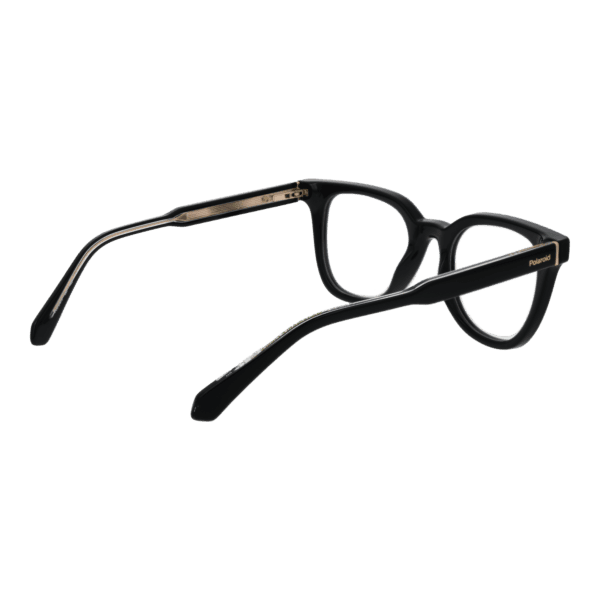 Détails branches – lunette Polaroid PLD D473 49807 en