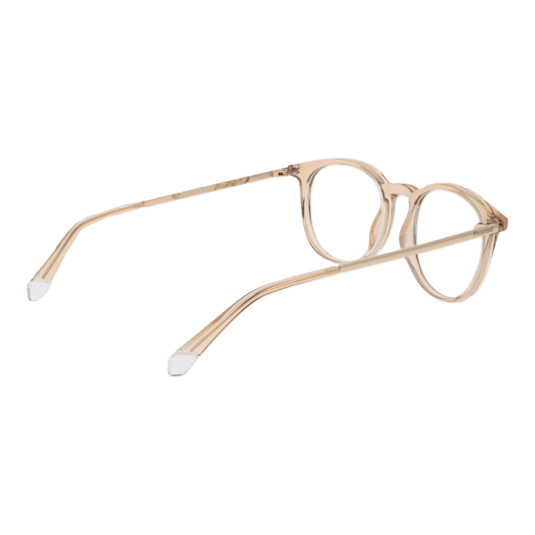 Détails branches – lunette Polaroid PLD D496 5010A en