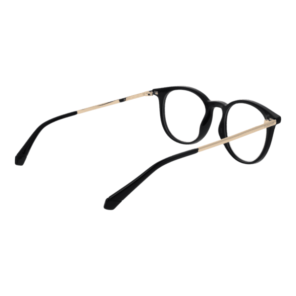 Détails branches – lunette Polaroid PLD D496 5080718 en