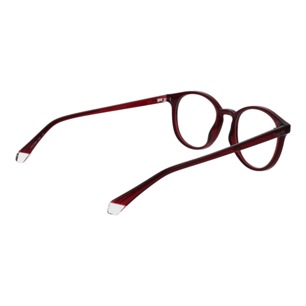 Détails branches – lunette Polaroid PLD D498 50LHF en